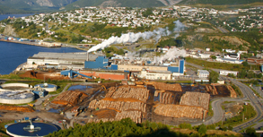 Pulp and Paper Solutions Pulp and Paper