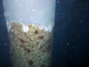 Pilone di piattaforma corroso sotto la linea di galleggiamento