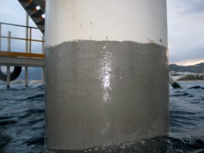 Надводная и подводная части опоры покрыты слоем Belzona 5831 (ST-Barrier)