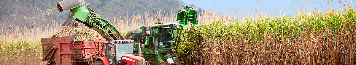 harvesting